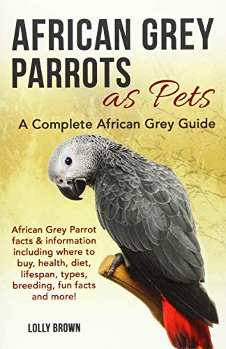 African grey parrots - parrots, as