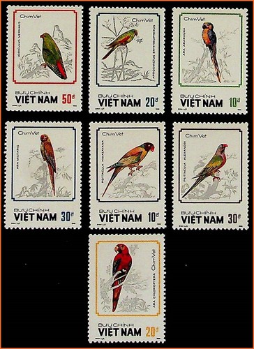 Vietnam parrots pets - parrots, /