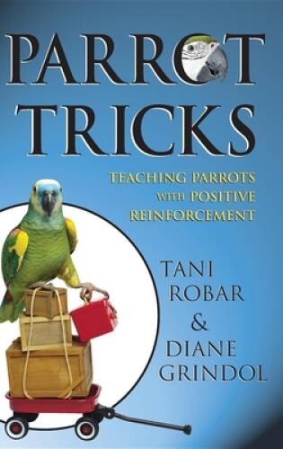 Parrot tricks teaching - tricks:,