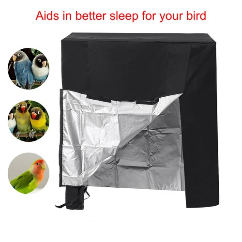 Large guard parrot - parrot, pet