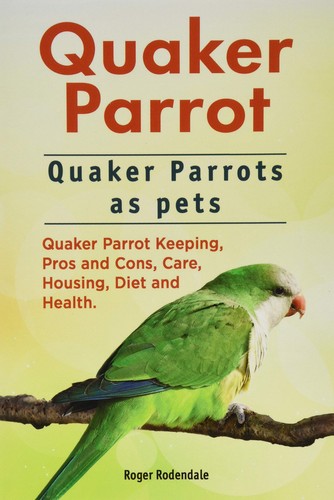 Quaker parrot parrots - parrot.,