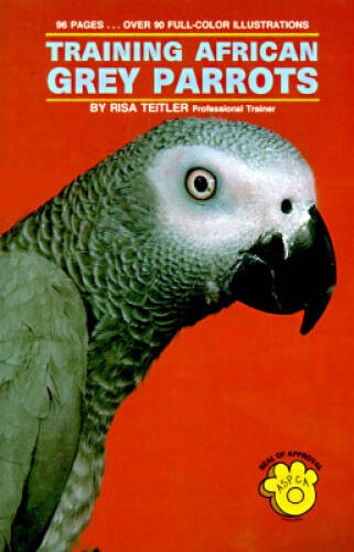 Training african grey parrots - african,